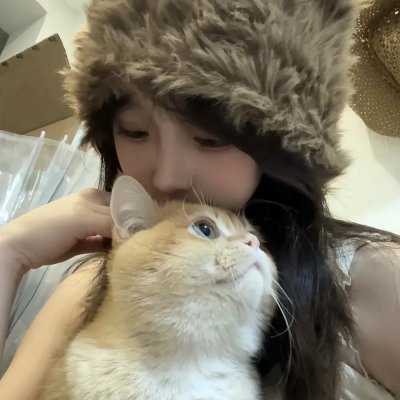 梅林和野兽之书