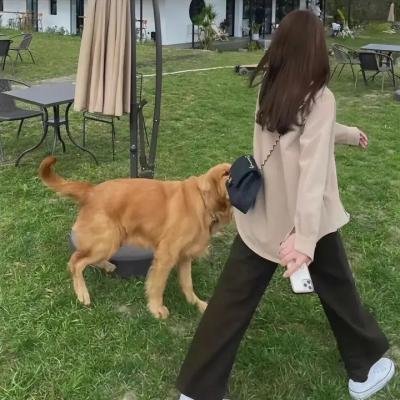 人生马戏团粤语